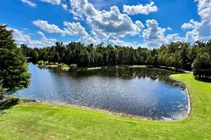 1230 Wright Cir, Celebration, FL 34747 - Photo 19