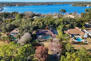 2931 Sunbittern Ct, Windermere, FL 34786 - Photo 49