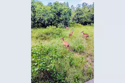 1745 Sunset Palm Drive, Apopka, FL 32712 - Photo 25