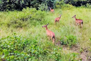 1745 Sunset Palm Dr, Apopka, FL 32712 - Photo 25