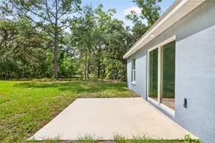 62 Malauka Radial, Ocklawaha, FL 32179 - Photo 51