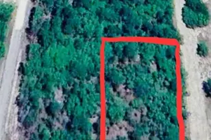 12021 SW 85th Pl, Dunnellon, FL 34432 - Photo 1