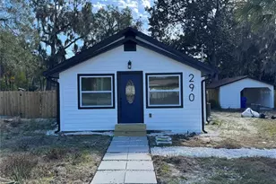 290 E Minnesota Ave, Orange City, FL 32763 - Photo 1