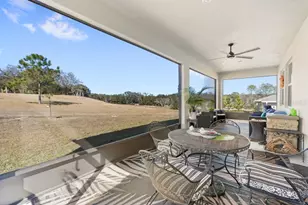 5325 Basalt Dr, Mount Dora, FL 32757 - Photo 3