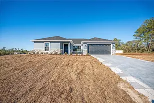 161 Bay Rd, Ocklawaha, FL 32179 - Photo 5