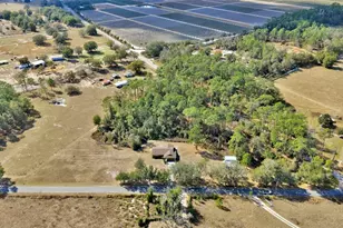 17125 Tuscanooga Rd, Groveland, FL 34736 - Photo 35