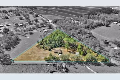 17125 Tuscanooga Road, Groveland, FL 34736 - Photo 3