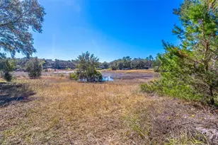 16880 SE 63rd Ln, Ocklawaha, FL 32179 - Photo 59