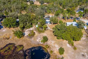16880 SE 63rd Ln, Ocklawaha, FL 32179 - Photo 77