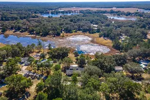 16880 SE 63rd Ln, Ocklawaha, FL 32179 - Photo 61