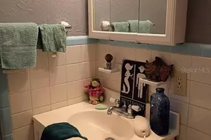 348 Lewis Blvd SE, Saint Petersburg, FL 33705 - Photo 21