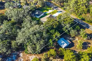 31060 Lochmore Cir, Sorrento, FL 32776 - Photo 15