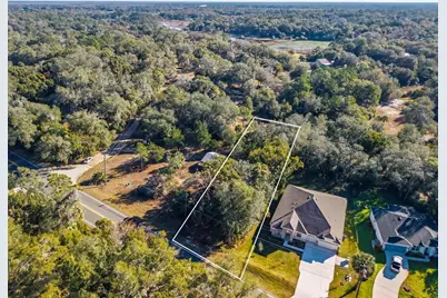 31060 Lochmore Circle, Sorrento, FL 32776 - Photo 13