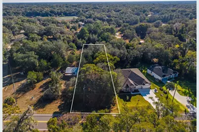 31060 Lochmore Circle, Sorrento, FL 32776 - Photo 29