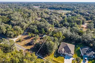 31060 Lochmore Cir, Sorrento, FL 32776 - Photo 23