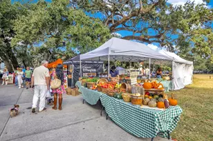 1004 E Robinson, Orlando, FL 32801 - Photo 35