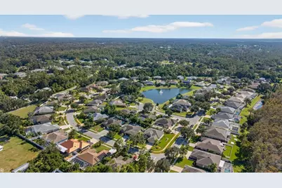 406 Phillips Creek Lane, New Smyrna Beach, FL 32168 - Photo 43