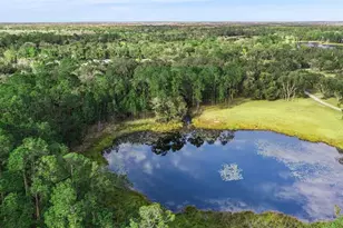 1055 Brumley Rd, Chuluota, FL 32766 - Photo 47