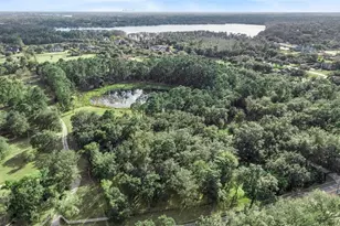 1055 Brumley Rd, Chuluota, FL 32766 - Photo 45