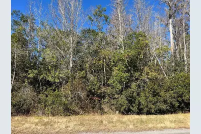 Netherland Street, Orlando, FL 32833 - Photo 1