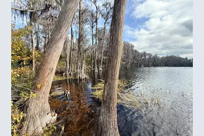 2220 Kildare Drive, Chuluota, FL 32766 - Photo 73