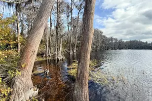 2220 Kildare Dr, Chuluota, FL 32766 - Photo 73