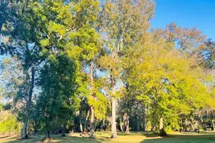 5141 Magnolia Ridge Rd, Fruitland Park, FL 34731 - Photo 13