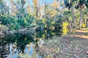 5141 Magnolia Ridge Rd, Fruitland Park, FL 34731 - Photo 17