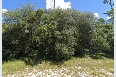 2067 SW 178th Lane Road, Ocala, FL 34473 - Photo 3