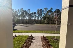 15487 Bay Brg St, Winter Garden, FL 34787 - Photo 3