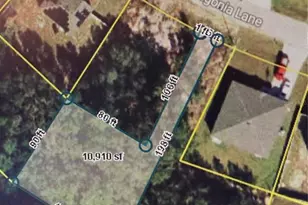 244 Begonia Ln, Kissimmee, FL 34759 - Photo 1