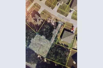 244 Begonia Lane, Kissimmee, FL 34759 - Photo 5