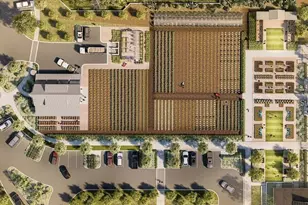 17498 Happytrails St, Land O Lakes, FL 34638 - Photo 99