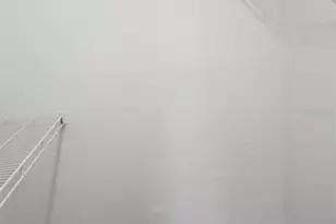 5713 Gatlin Ave, Orlando, FL 32822 - Photo 9