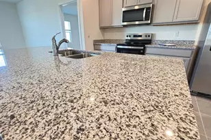 914 Princess Sabal Pt, Haines City, FL 33844 - Photo 11