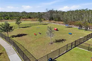 3536 Yarian Dr, Haines City, FL 33844 - Photo 41