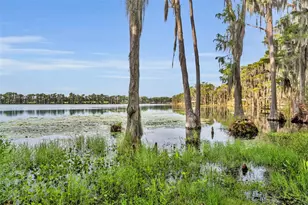 1134 Kelso Blvd, Windermere, FL 34786 - Photo 27