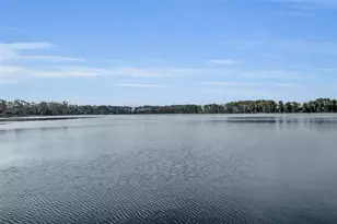 1134 Kelso Blvd, Windermere, FL 34786 - Photo 35