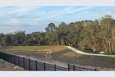 460 Free Range Drive, Groveland, FL 34736 - Photo 15