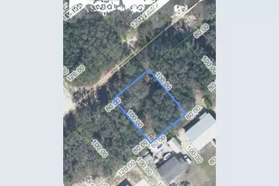 3171 W Maddox Road, Avon Park, FL 33825 - Photo 3