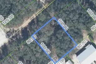 3171 W Maddox Rd, Avon Park, FL 33825 - Photo 3