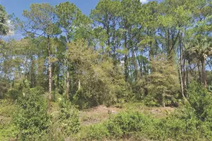 318 Redwood Blvd, Georgetown, FL 32139 - Photo 1