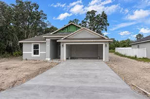 3 Willow Ln, Poinciana, FL 34759 - Photo 1