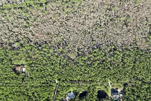 3441 Hickory Creek Rd, Deltona, FL 32738 - Photo 59