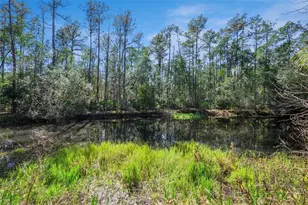 3441 Hickory Creek Rd, Deltona, FL 32738 - Photo 57