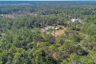 425 Scooter Point, Geneva, FL 32732 - Photo 39