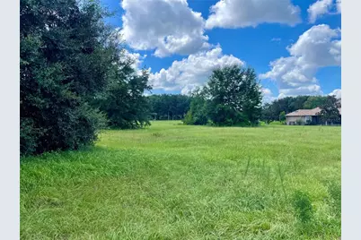 18340 Great Blue Heron Drive, Groveland, FL 34736 - Photo 9