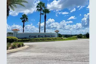 18340 Great Blue Heron Drive, Groveland, FL 34736 - Photo 3