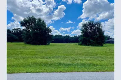 18340 Great Blue Heron Drive, Groveland, FL 34736 - Photo 7