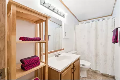 3122 Myakka River Road, Tavares, FL 32778 - Photo 21